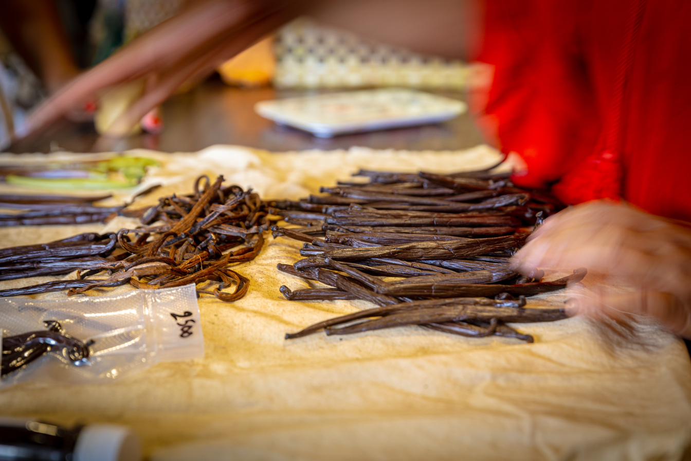Gousses de vanille de Tahaa triées à la main